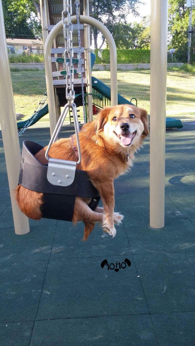 baby cart